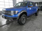 raptor-blue.jpg