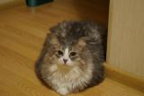 DSC05366.JPG