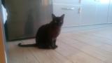 PIC003105.jpg