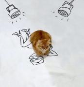 0EpKnsBBVbg.jpg