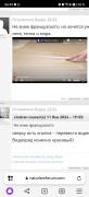 Screenshot_20240112_065000_com.yandex.browser.jpg