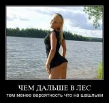 x_a4521f42.jpg