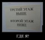 344.jpg