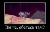 getImage__14_.jpg