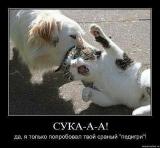 getImage__31_.jpg