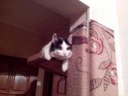 IMG_20131128_025753.jpg