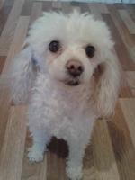 20140428_190623.jpg