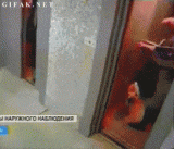 54fe6a_orig_.gif