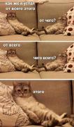 FB_IMG_1645344231794.jpg