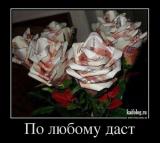 1364289846_050.jpg