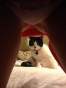 grownup_corner_134_640_08.jpg