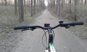 20150321_173928.jpg