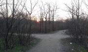20150321_174205.jpg