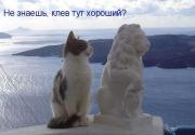 Кот и лев.jpg