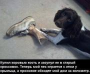 image (1).jpg