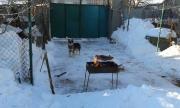 20160120_144204.jpg