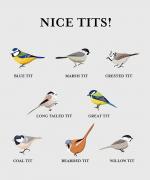 nice_tits.jpeg