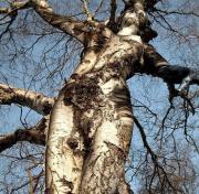 IMG_0362.jpeg