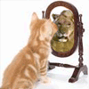 post_3159_1229099999.gif
