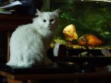 DSCF8833.JPG