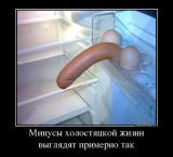25.jpg