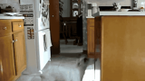 funny_gifs_catsmob_com_02609_001.gif