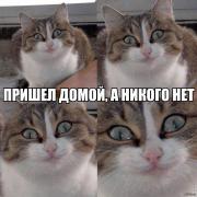 1395891939_1301198203.jpg
