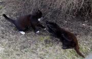 DSC00676.JPG