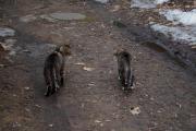 DSC00053.JPG