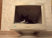 image (1).png