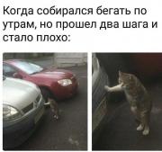 бег_по_утрам.jpg