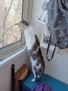 IMG-20220414-WA0002.jpg