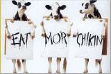 eat_mor_chikin.jpg