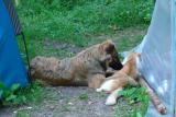 DSC09332.JPG
