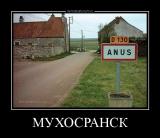 2325015_beb7b0d6.jpg