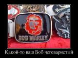 2332582_f1e092df.jpg