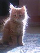 Photo-0001.jpg
