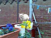 IMG_20150508_175418.jpg
