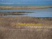 DSC02985.jpg