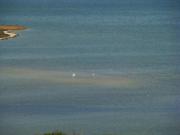 DSC02923.jpg