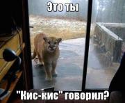 1464080556095_p4EbxB3dFD0.jpg