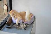 котангенса 04 а.jpg