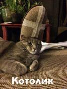 котолик.jpg