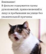 0c31ed.jpg