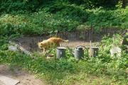 DSC04277.JPG