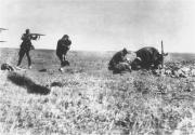 assassinats-de-juifs-ivangorod_1942.jpg