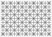 illusion_01.jpg