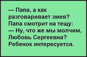 image (1).jpg