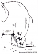 scale_1200 (22).png