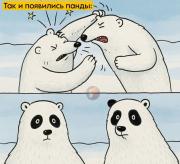 79jnH5FsafKsppwcDFfCXZUXKqTYA6WupWK80uQDPMaUdY7AQErhAreQwxxnsGdcS7mjmdXmSTz97LkhYenPNhle.jpg